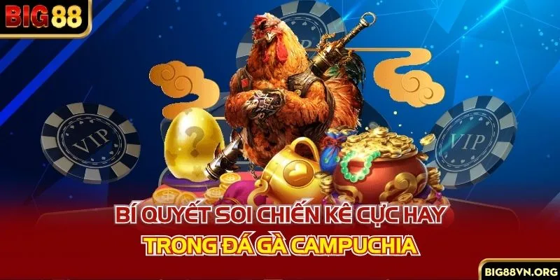 Bí quyết soi chiến kê cực hay trong đá gà Campuchia