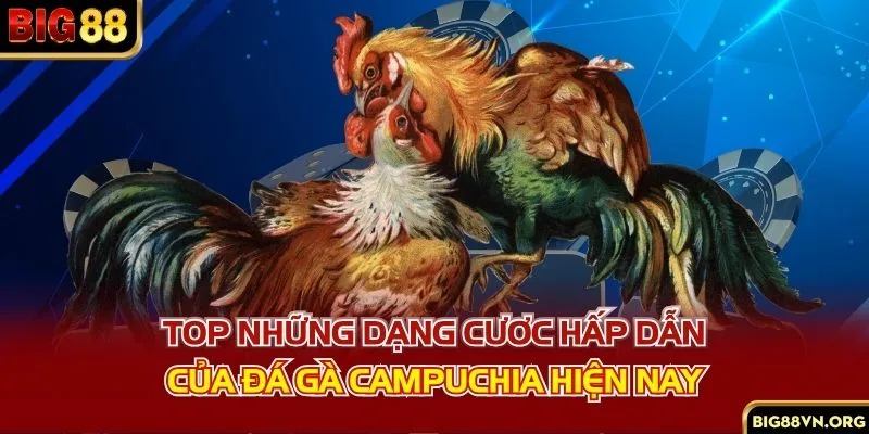 Top những dạng cươc hấp dẫn của đá gà Campuchia hiện nay
