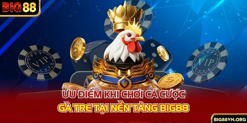 Ưu điểm khi chơi cá cược gà tre tại nền tảng BIG88